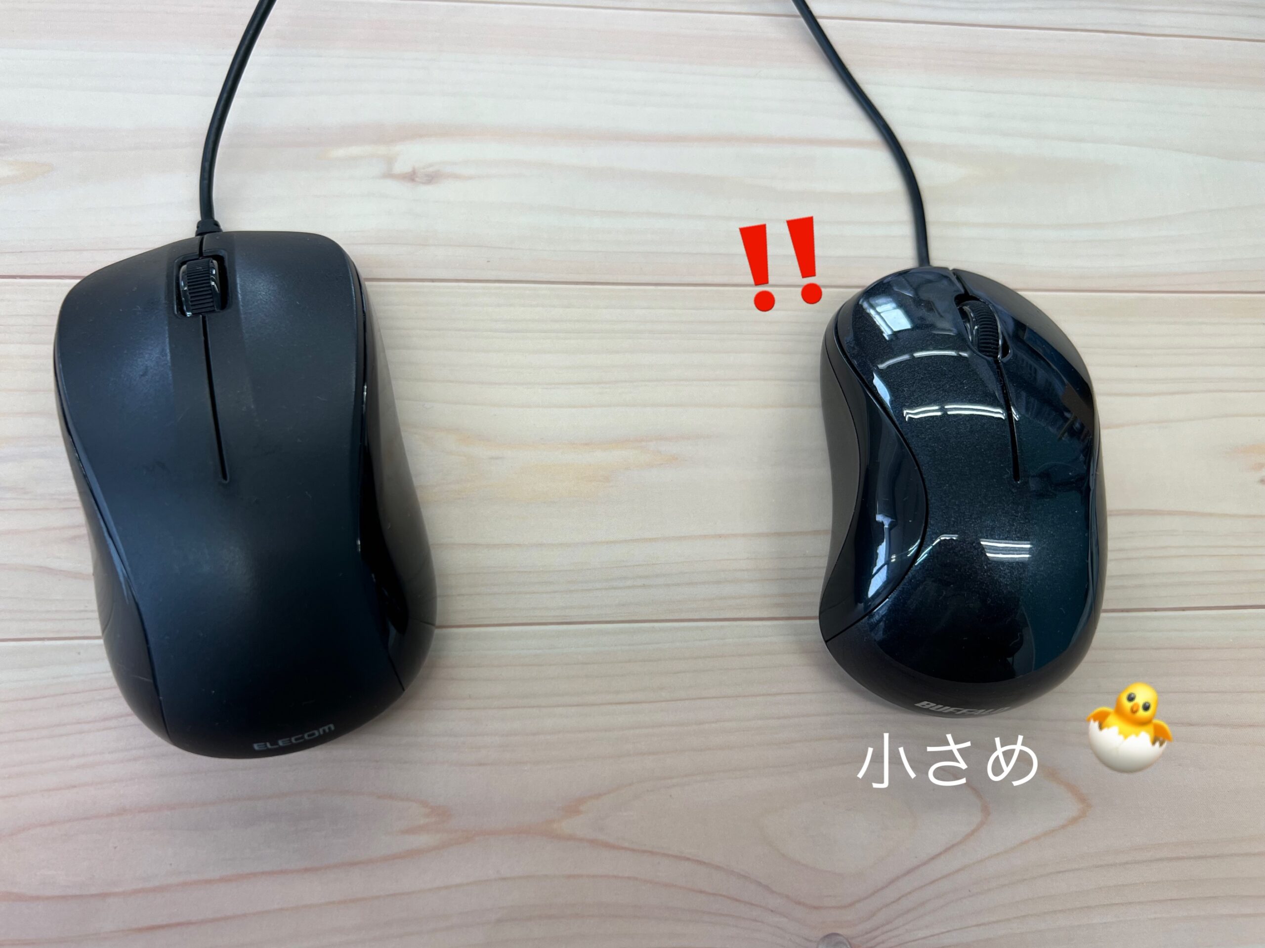 お知らせ画像