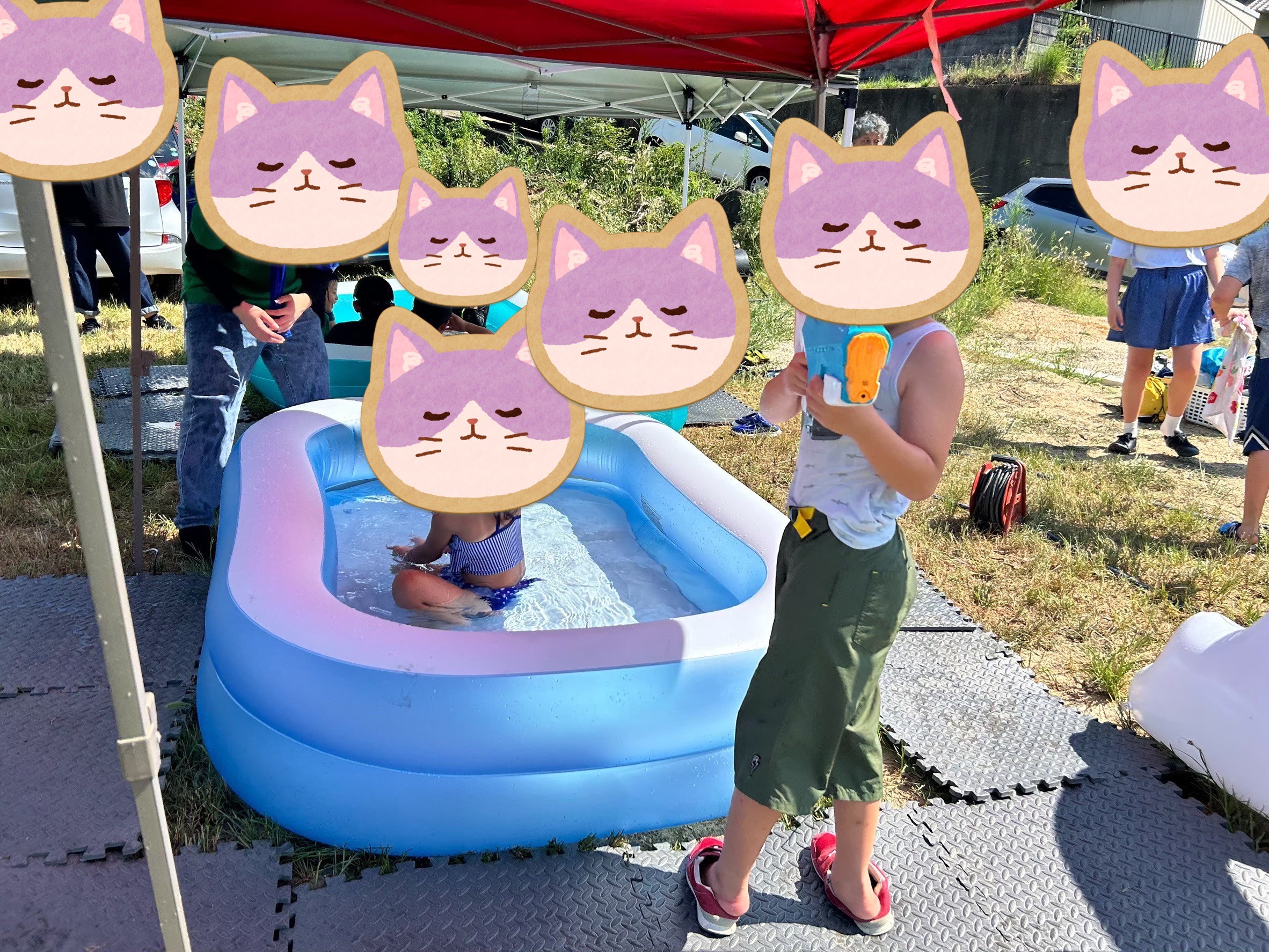 お知らせ画像