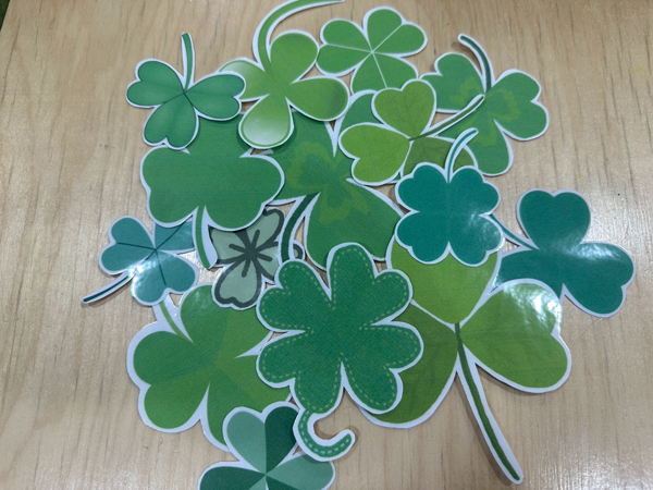 複数のクローバーの中から四葉のクローバーを探す遊び